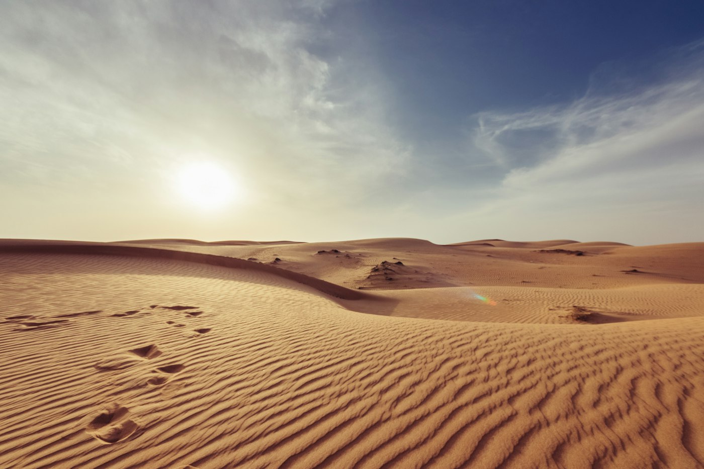 ليلة خاصة في المخيم الصحراوي